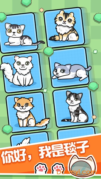 跑跑云养猫无限金币版(merge cats) 游戏截图